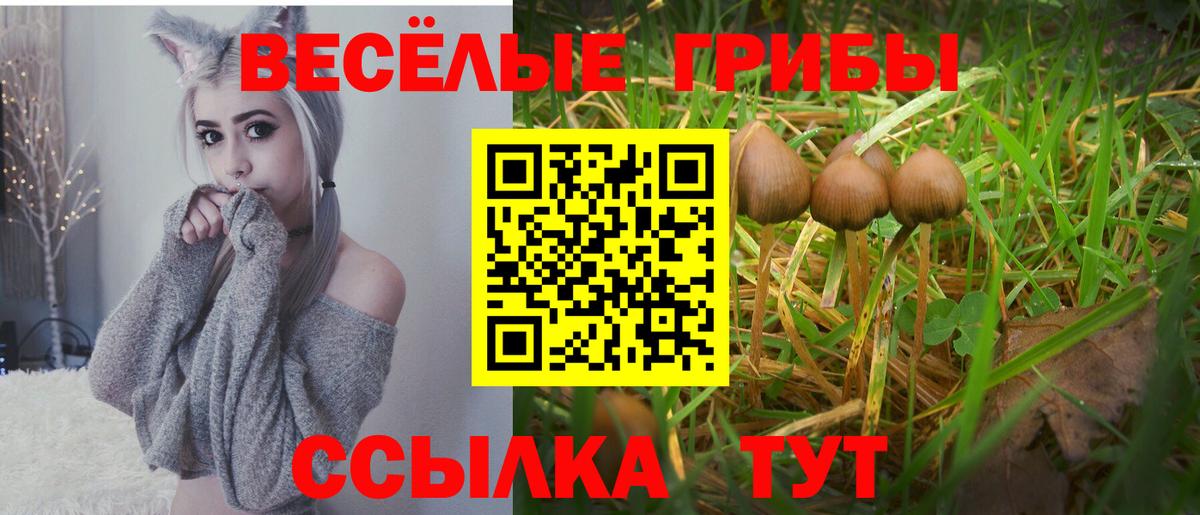 Галлюциногенные грибы прущие грибы Клин