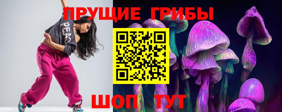 Псилоцибиновые грибы прущие грибы  Вход с VPN  Галлюциногенные грибы Psilocybe  Клин 